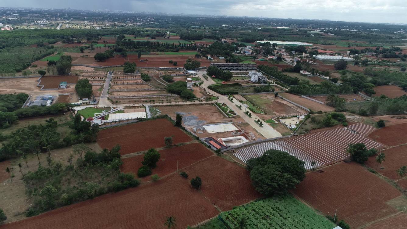 Images for mainOther