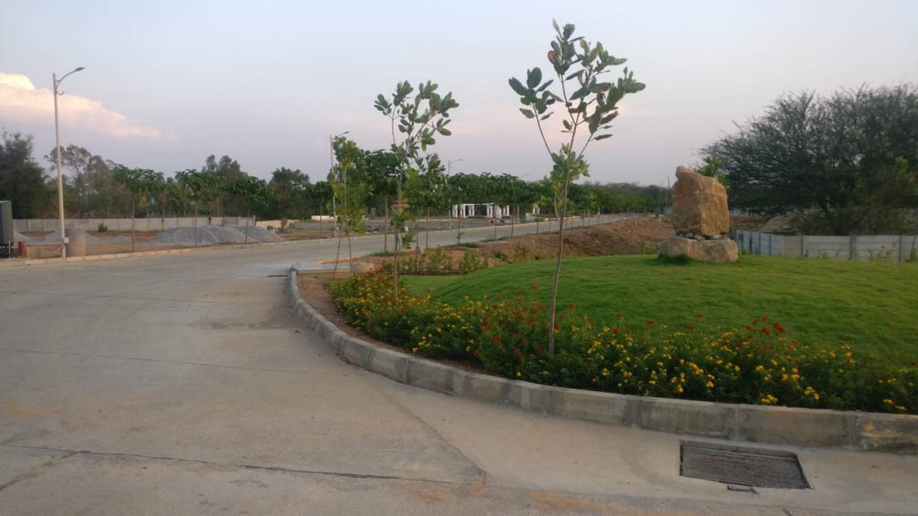 Images for mainOther