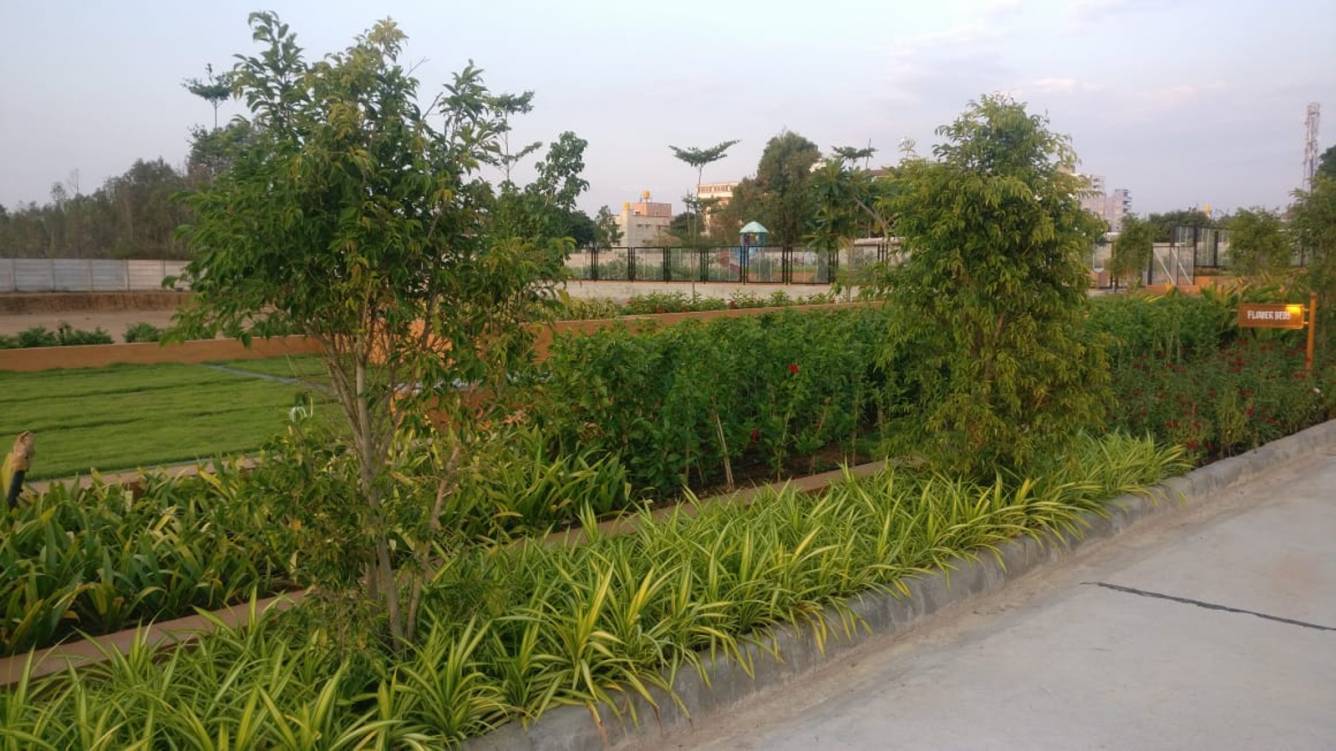 Images for mainOther