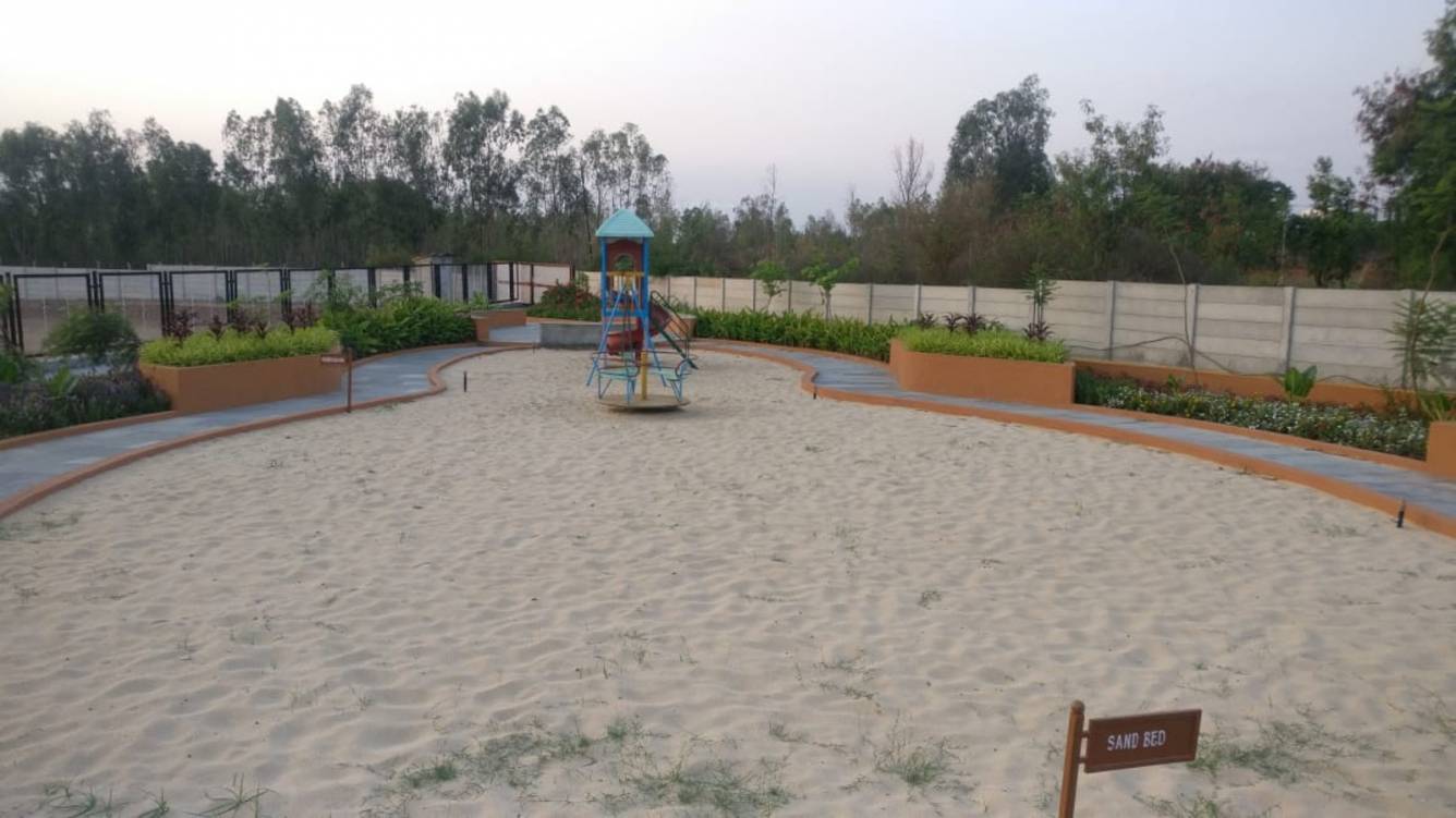 Images for mainOther