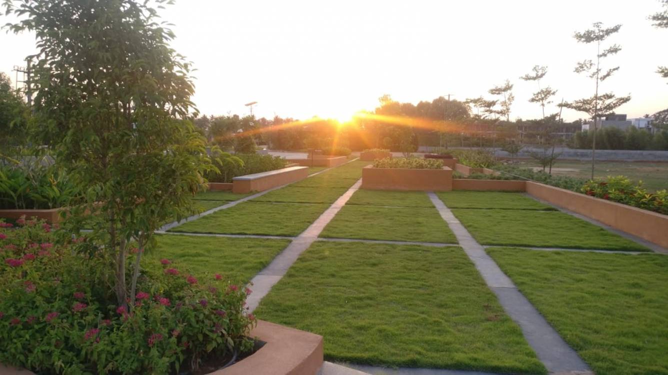 Images for mainOther