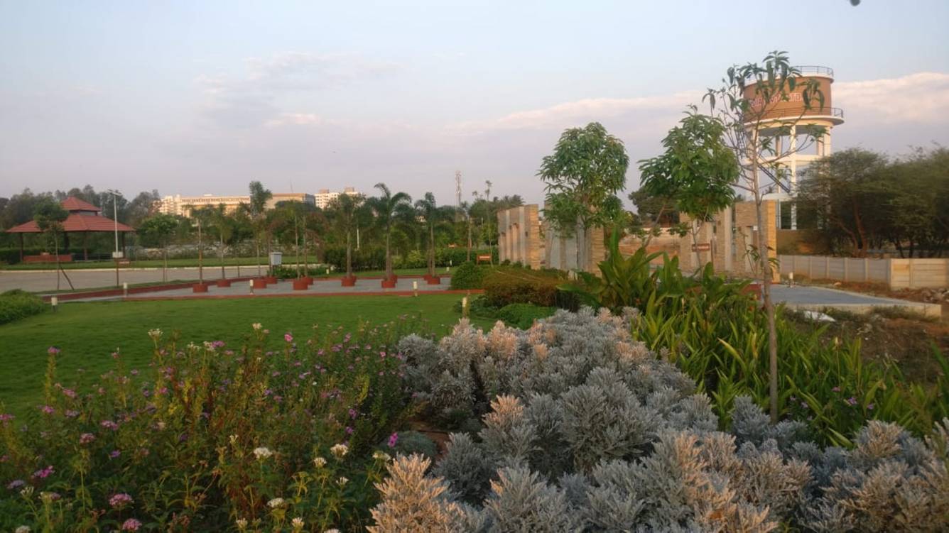 Images for mainOther