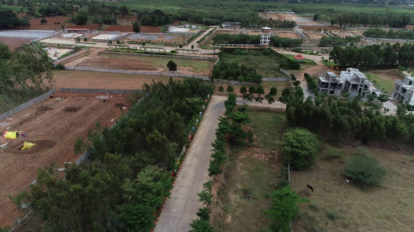 Images for mainOther