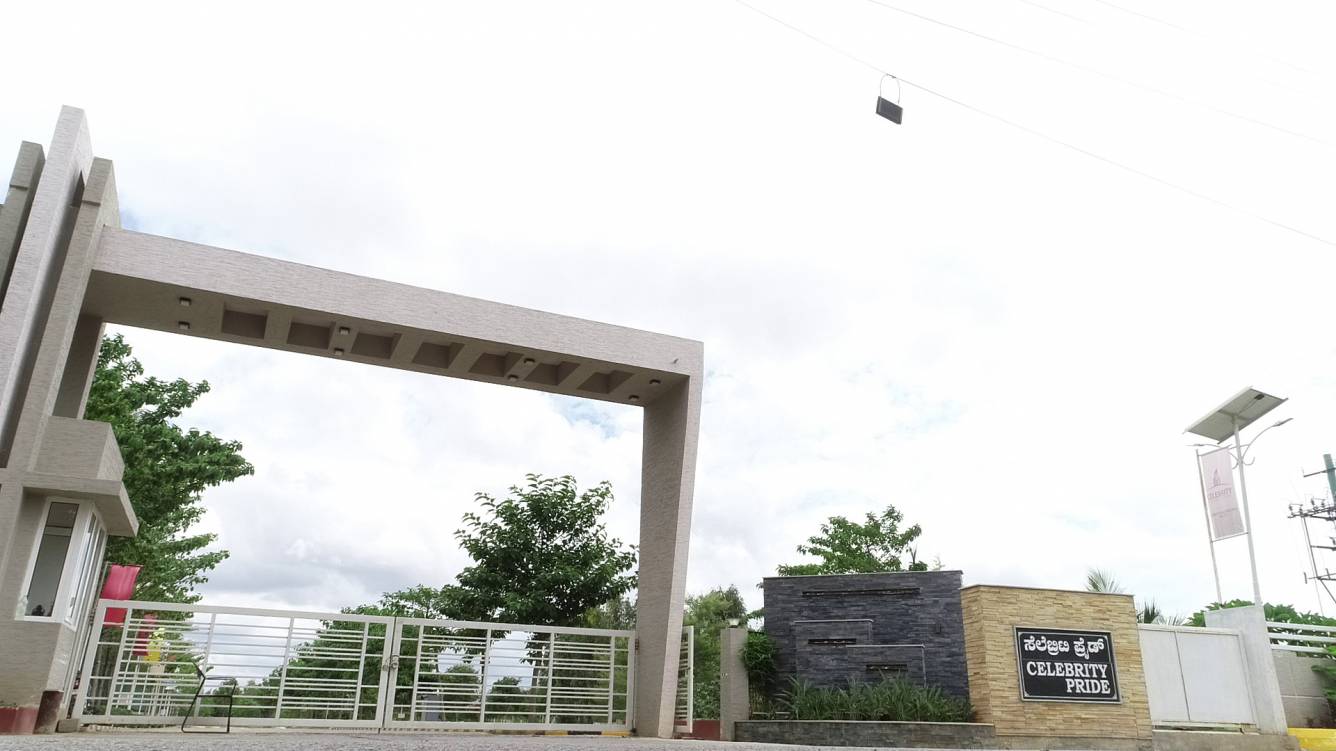 Images for mainOther