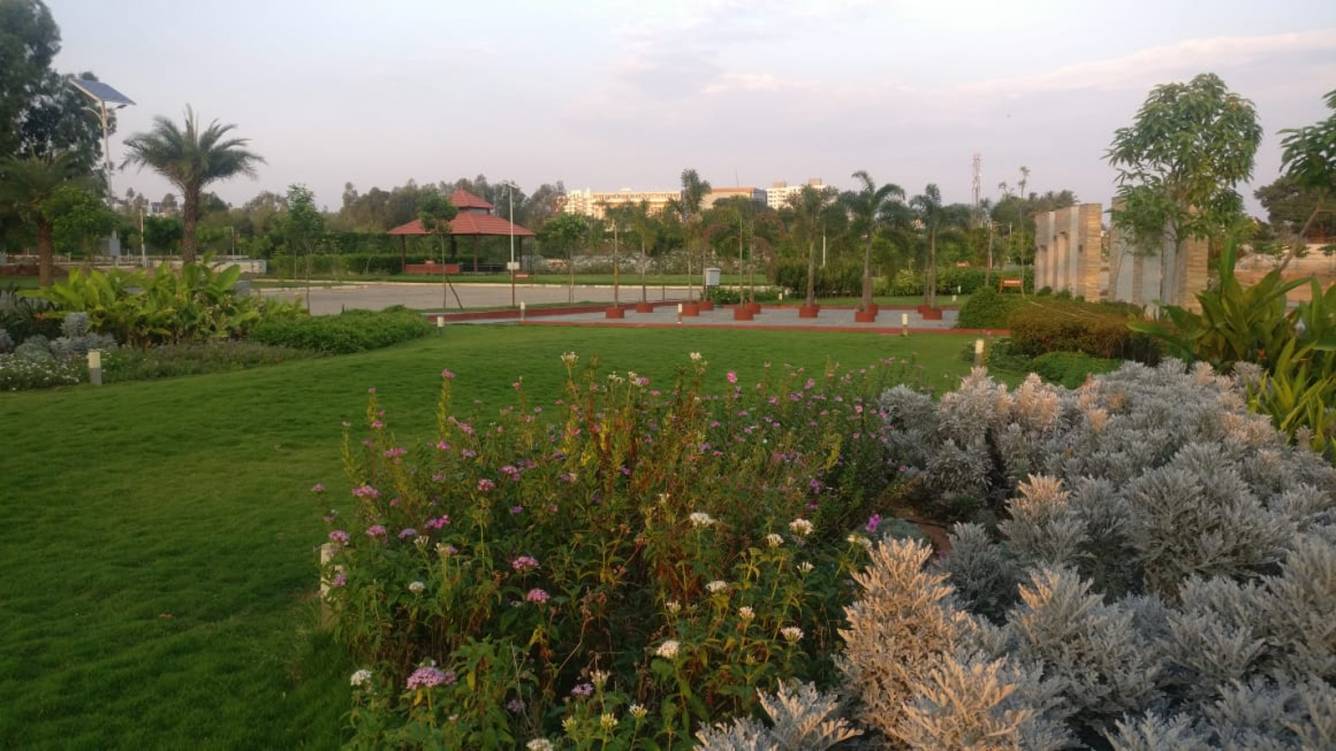  pride access Images for mainOther