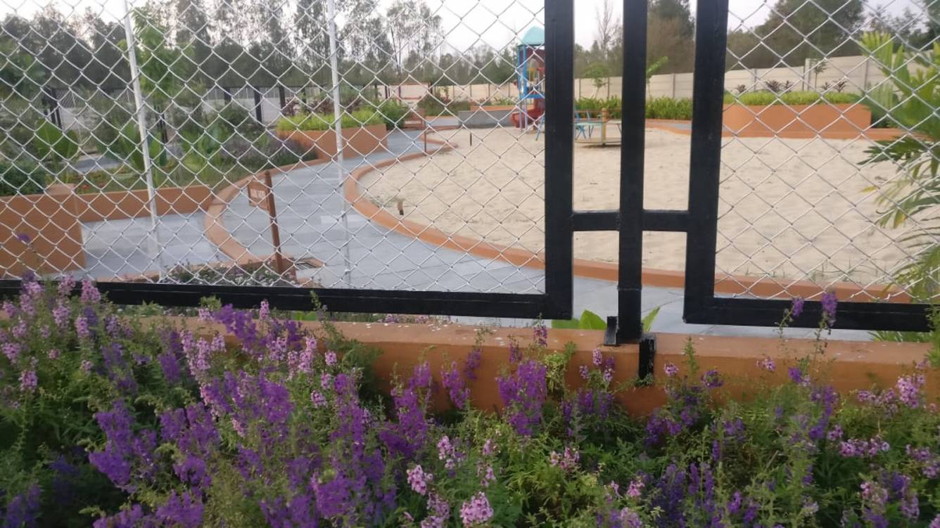  pride access Images for mainOther