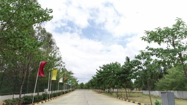  pride-access Images for mainOther