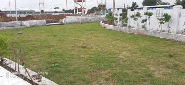 Landscape Garden and Tree Planting silver Landscape Garden and Tree Planting