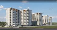 Colony Phase I