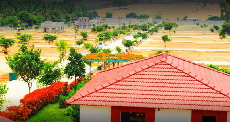  north meadows Elevation