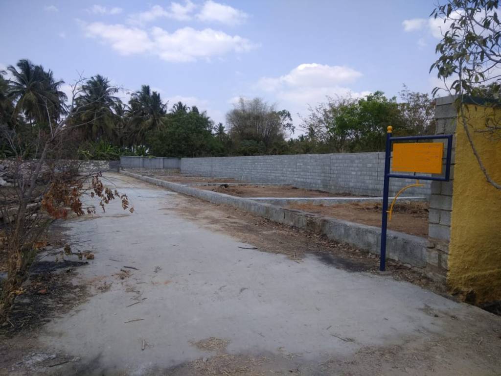 Images for mainOther