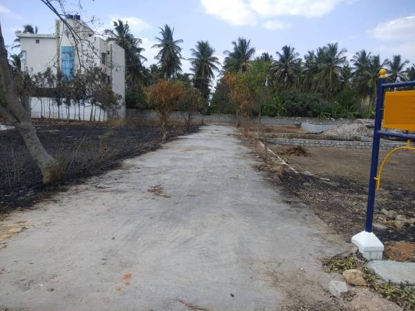 Images for mainOther