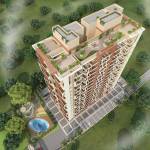  proximus Images for Project