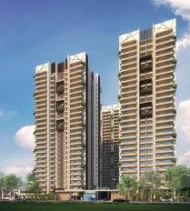  ivy-county Elevation