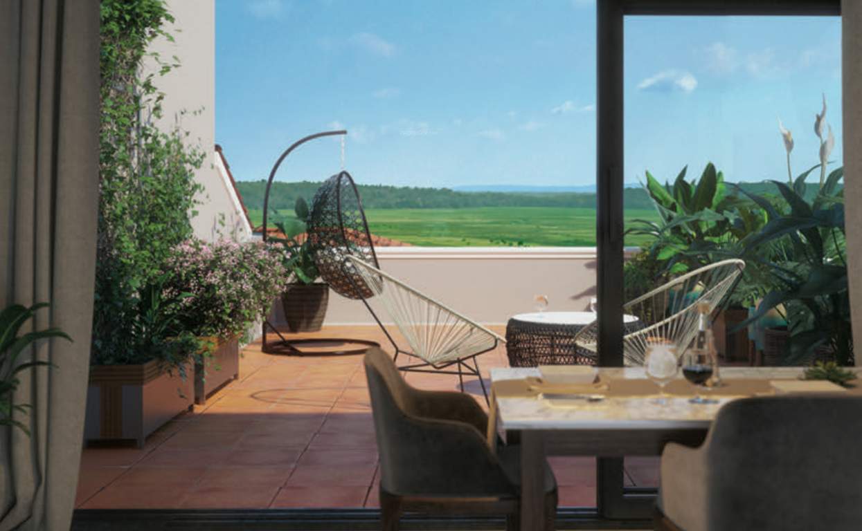  viera Terrace Garden