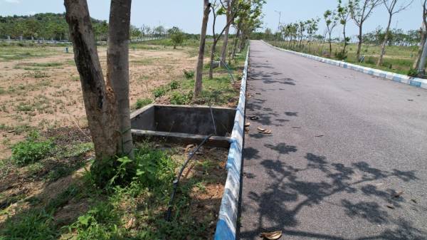  avasa-hills-phase-1 Plot