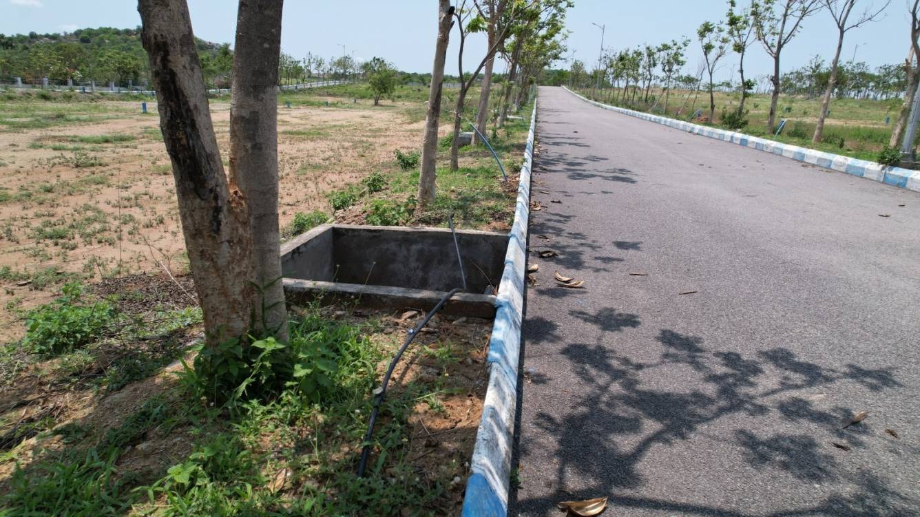  avasa hills phase 1 Plot