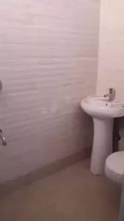 Images for mainOther