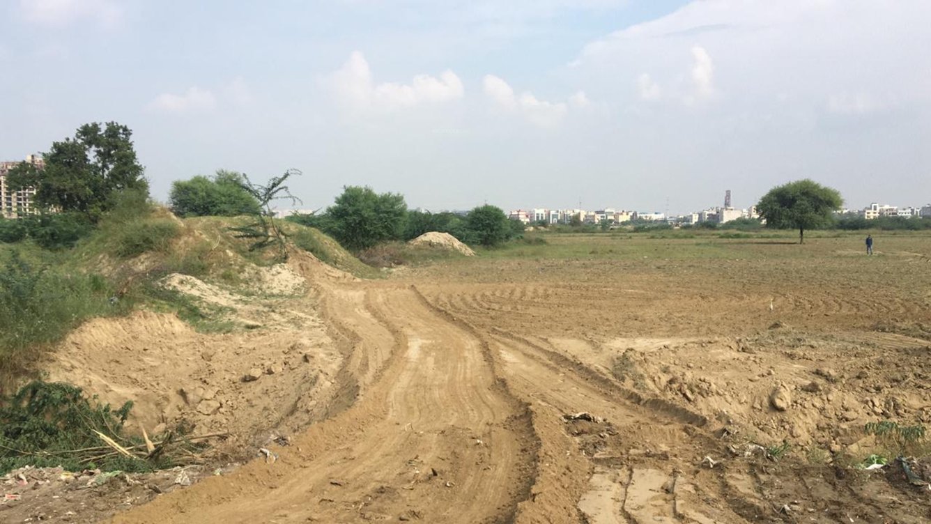 Images for mainOther