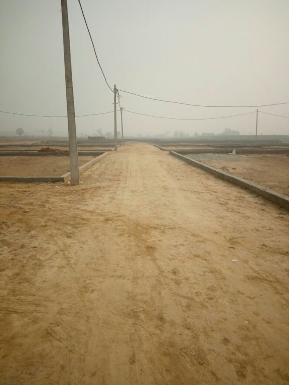 Images for mainOther