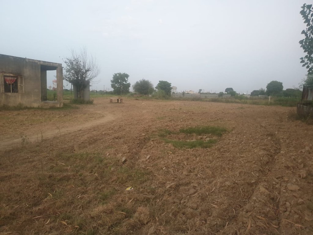 Images for mainOther