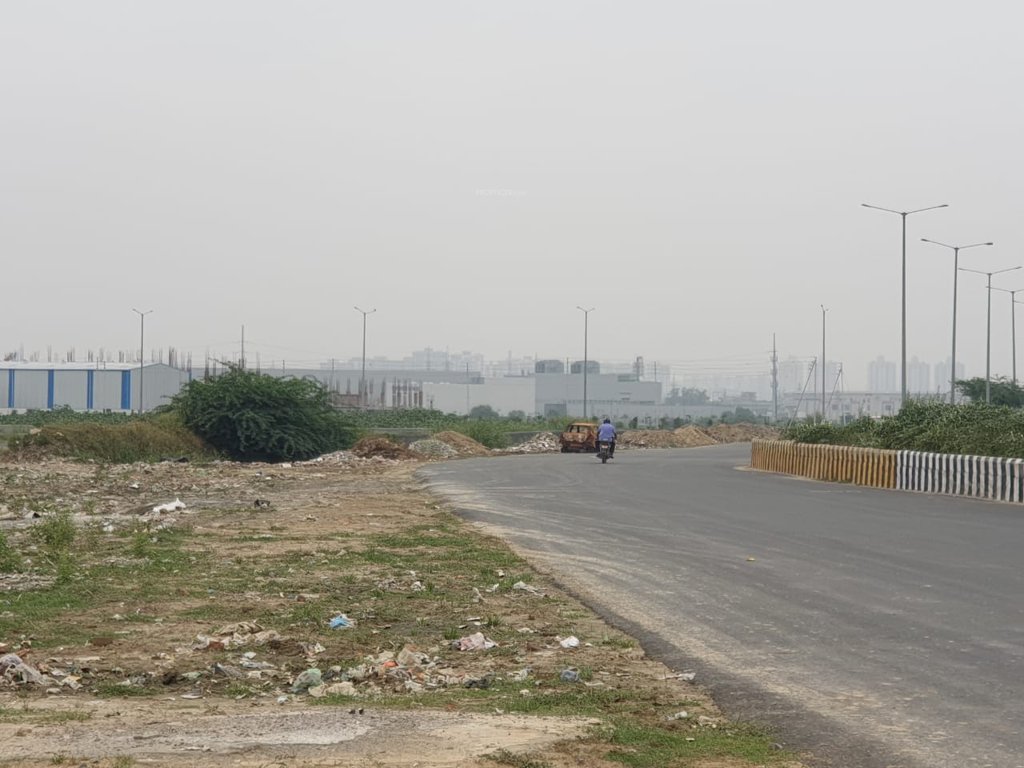 Images for mainOther