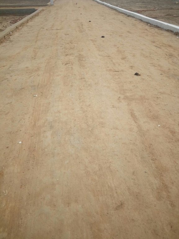 Images for mainOther