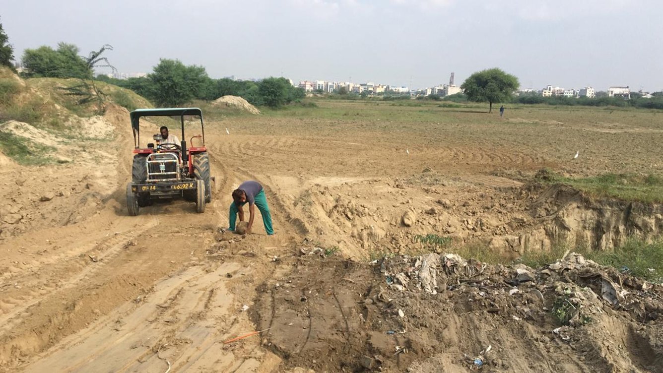 Images for mainOther