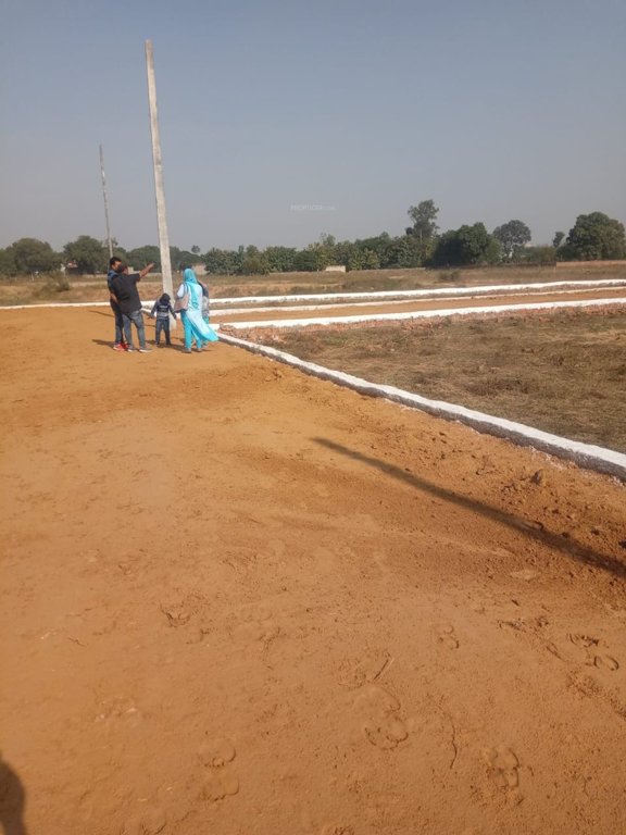 Images for mainOther