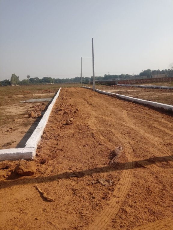 Images for mainOther