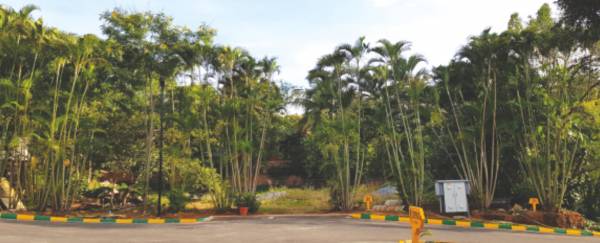  opulence Internal Roads & Footpaths