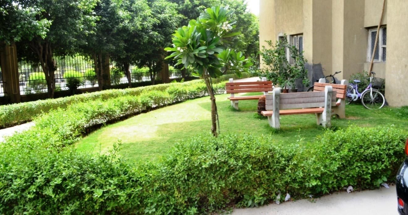  palm court apartment Others