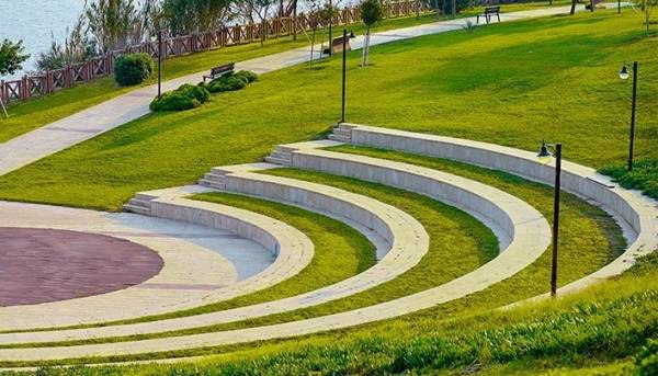 Others verona-chs Others