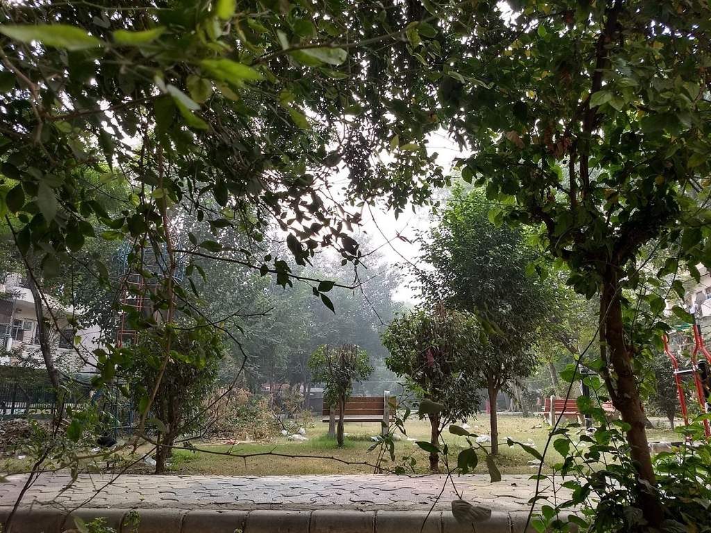  archana apartment Landscape Garden and Tree Planting