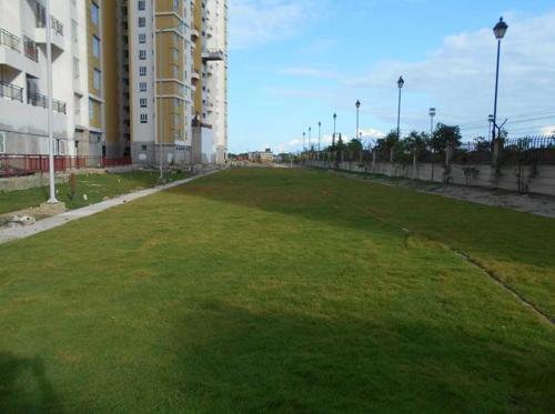  elita-garden-vista Others