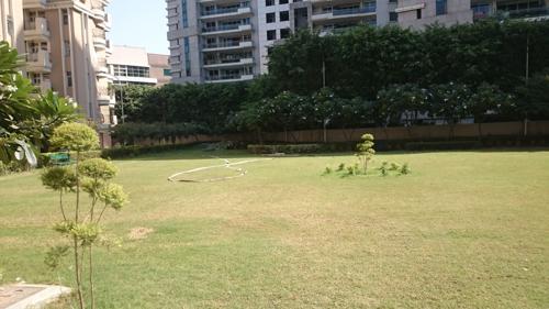  galaxy-apartment Landscape Garden and Tree Planting
