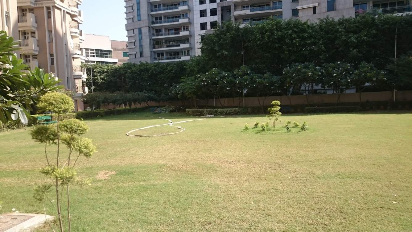  galaxy apartment Landscape Garden and Tree Planting