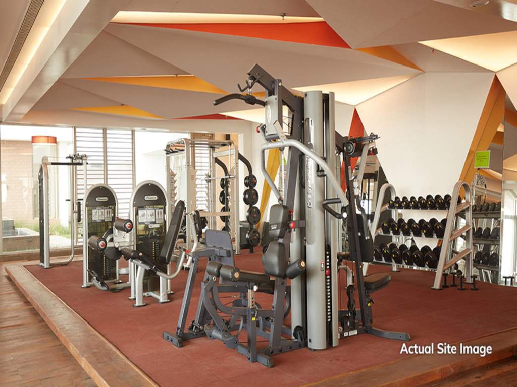  adani western heights Gymnasium