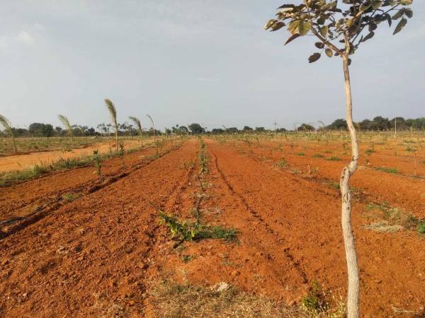 Images for mainOther