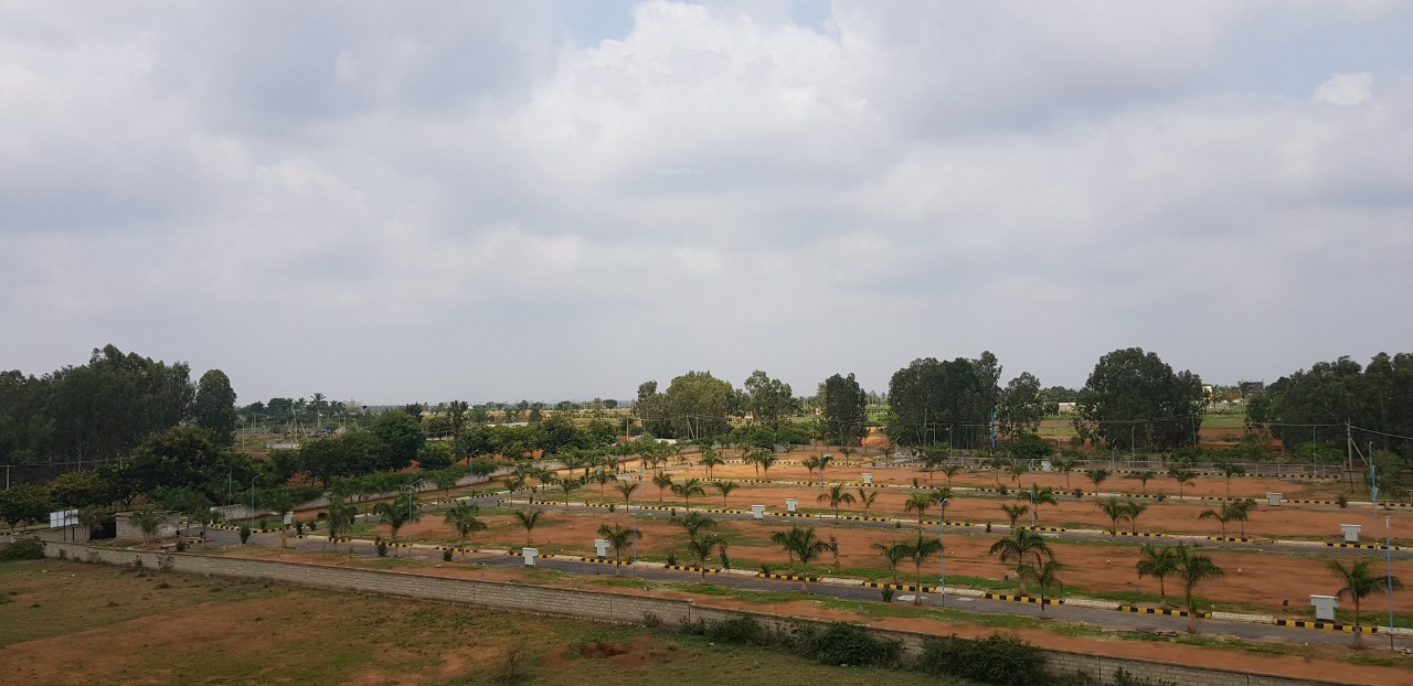 Images for mainOther