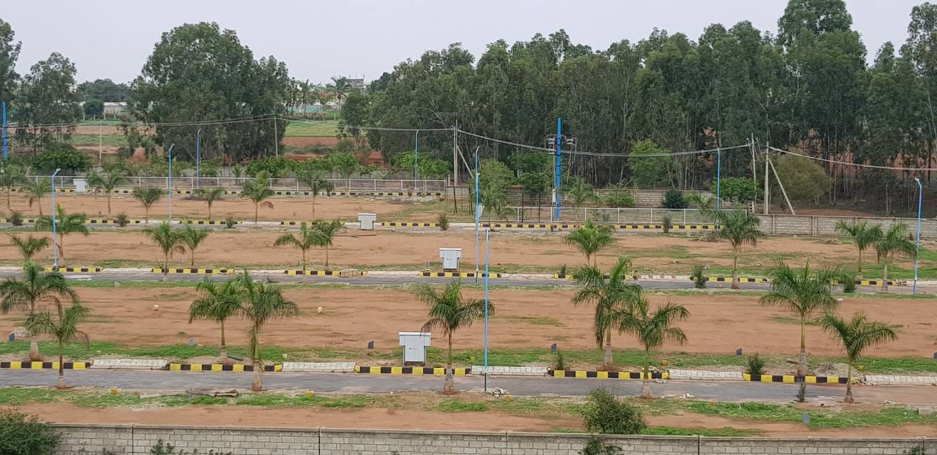 Images for mainOther