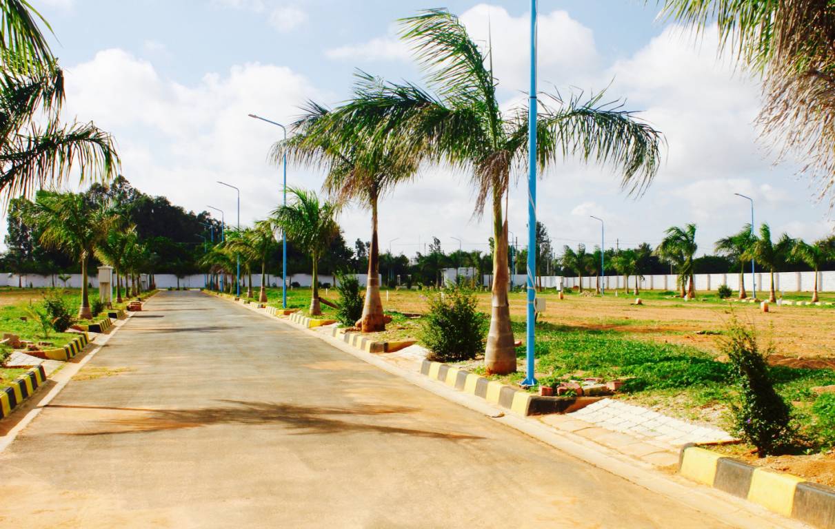 Images for mainOther