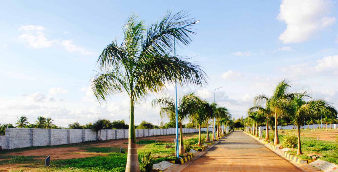 Images for mainOther