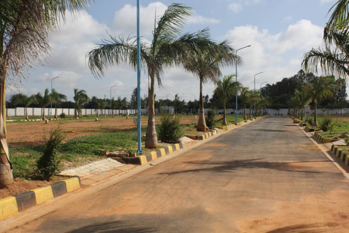 Images for mainOther