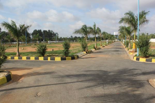 Images for mainOther