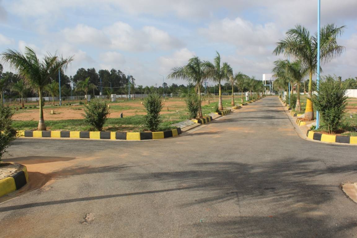 Images for mainOther