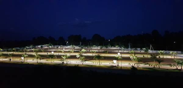 Images for mainOther