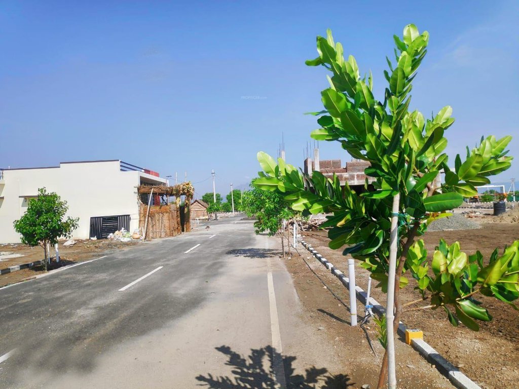 Images for mainOther