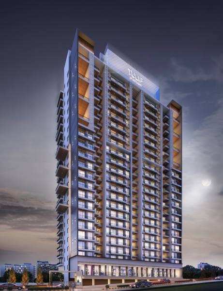  tulip-apartments Elevation