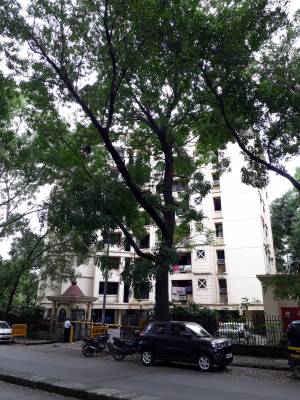 glen-gate-buildings Elevation Elevation